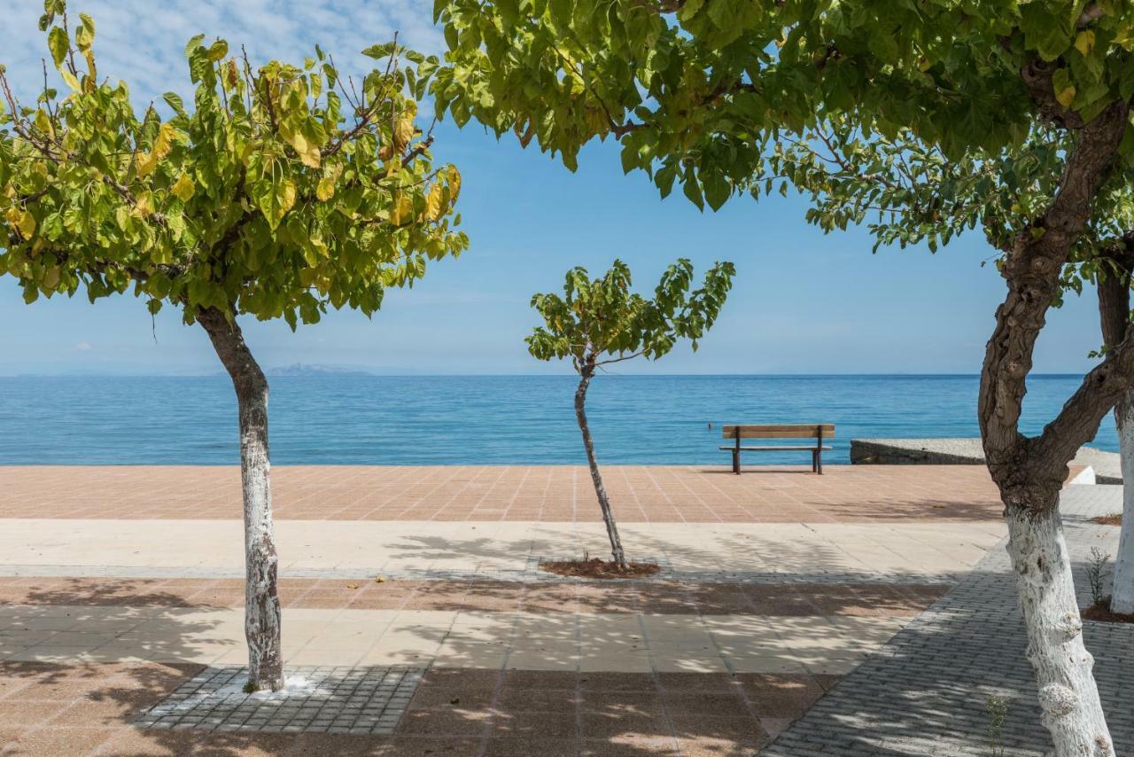 פורוס Areti Apartments מראה חיצוני תמונה